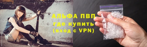 индика Касимов