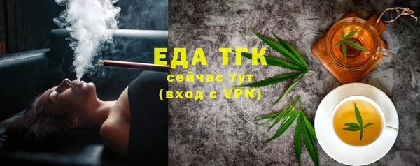 индика Касимов