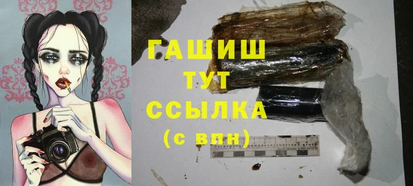 индика Касимов